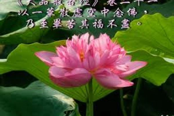 拜三千佛功德(請點入)